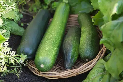 zucchine cesto