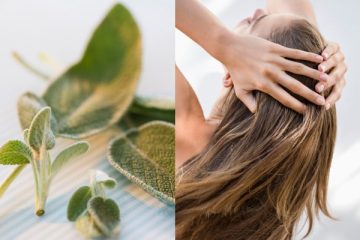 salvia per curare capelli