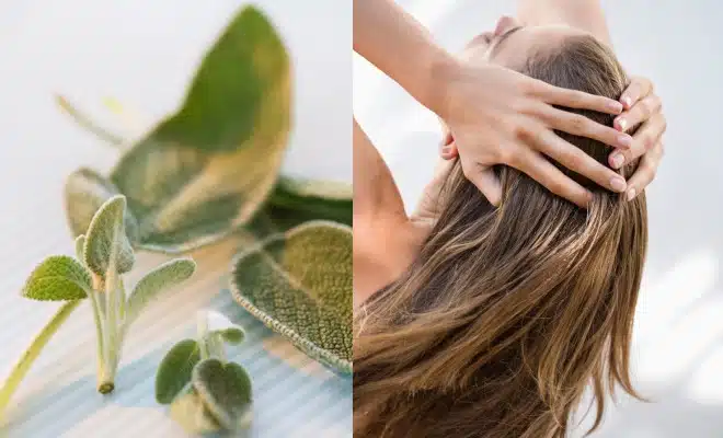 salvia per curare capelli