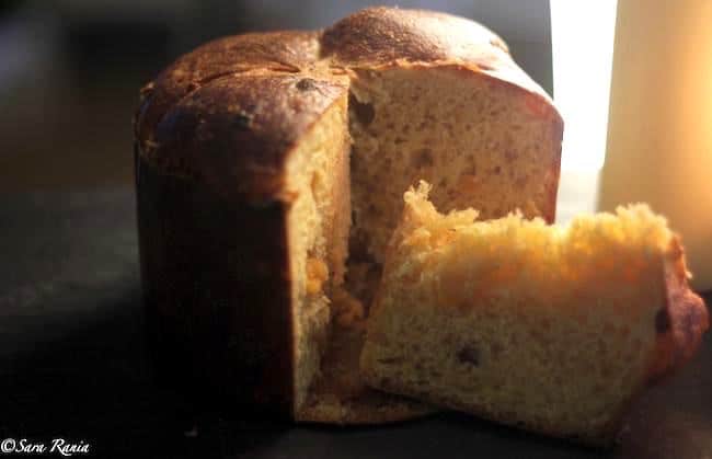 Panettone fatto in casa con lievito madre