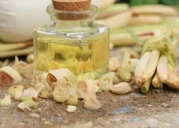 citronella
