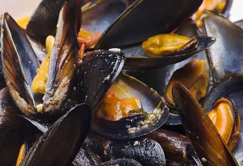 cozze fredde basilico pomodoro