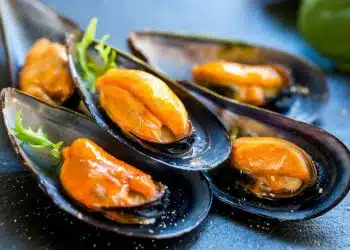 cozze proprieta controindicazioni