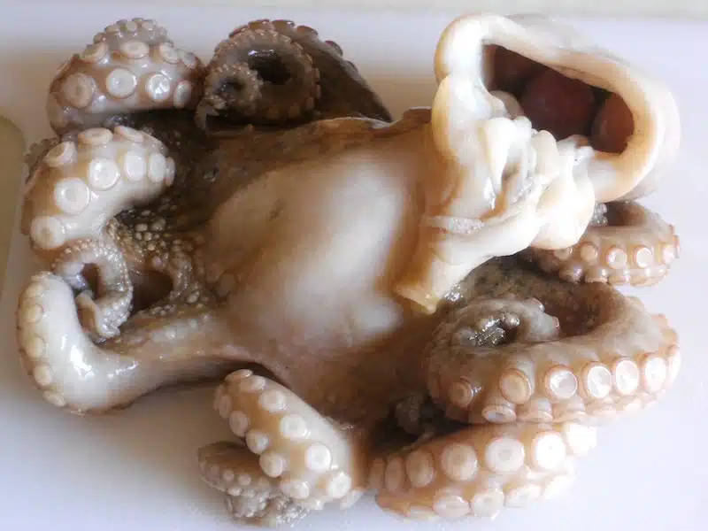 Polpo alla Luciana ricetta con foto