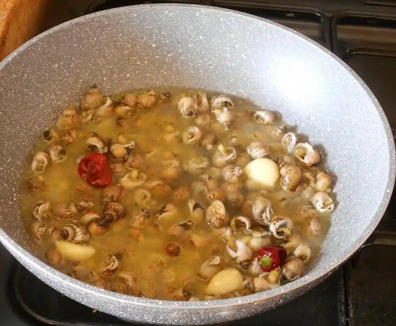 Spaghetti vongole lumache di mare