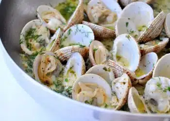 tutto sulle vongole proprieta ricette