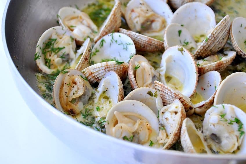 tutto sulle vongole proprieta ricette