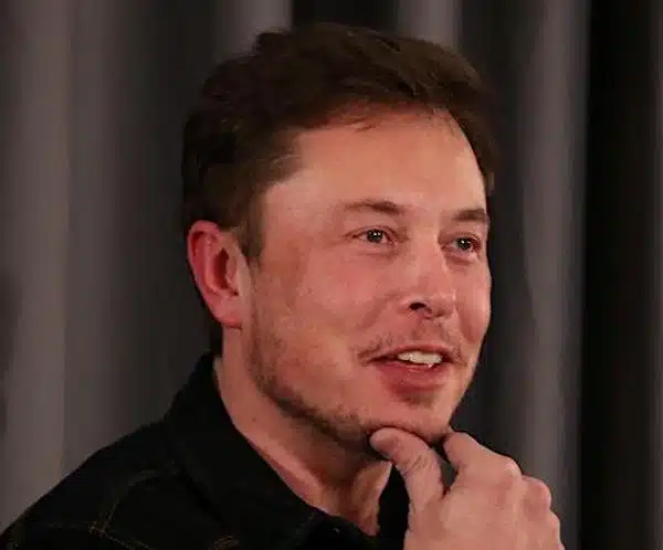 Elon Musk capelli