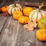 zucca proprietà