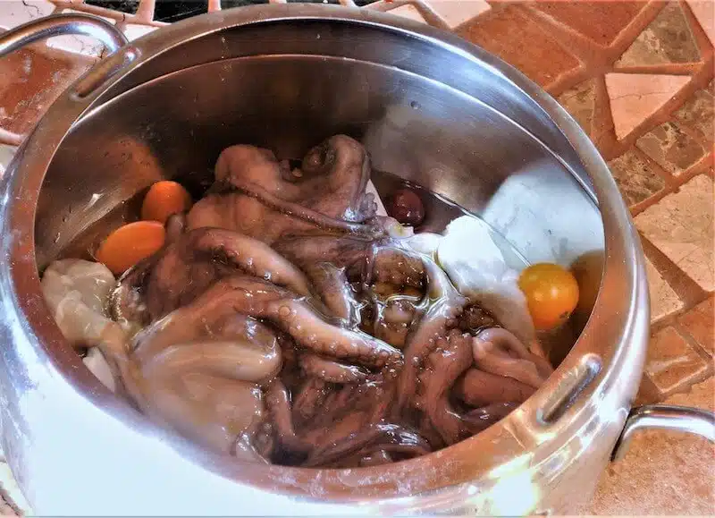 Polipetti veraci e champignon 2
