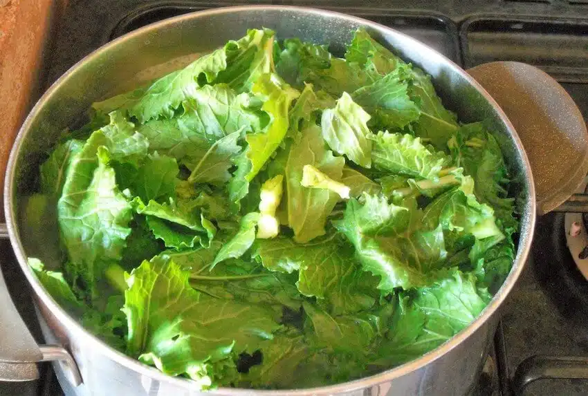 Bucatini alle cime di rapa e vongole veraci 1