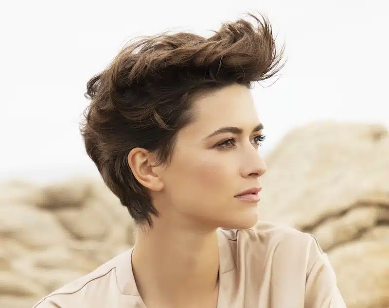 capelli corti 2019 provost estate