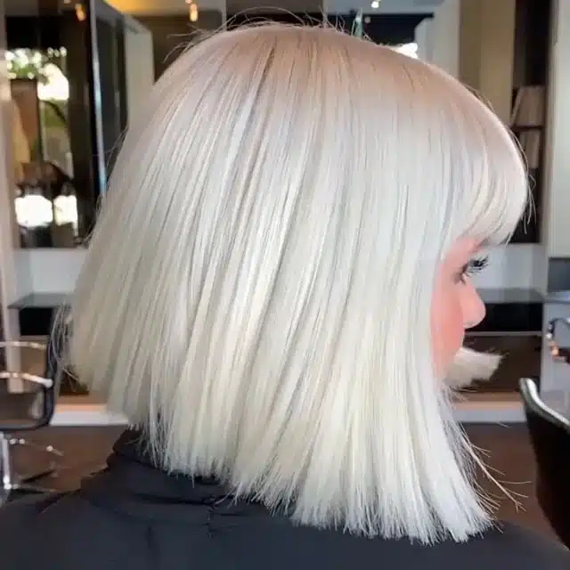 bob capelli bianchi 2019