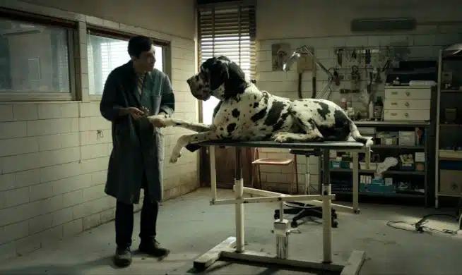 dogman film amazon prime video