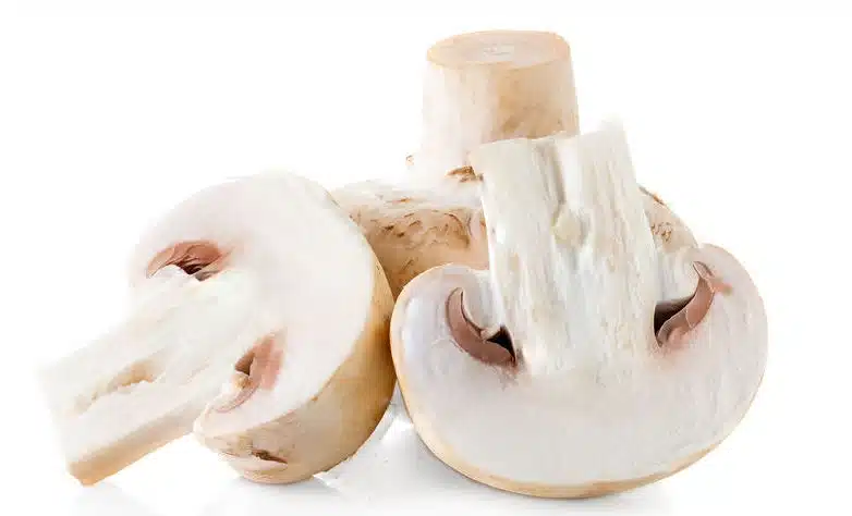 Prataiolo Agaricus hortensis
