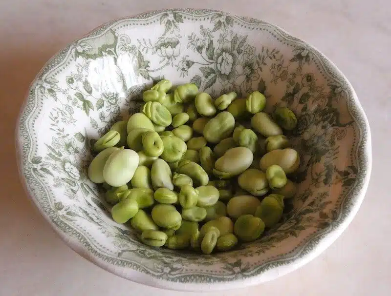 fave verdure primaverili