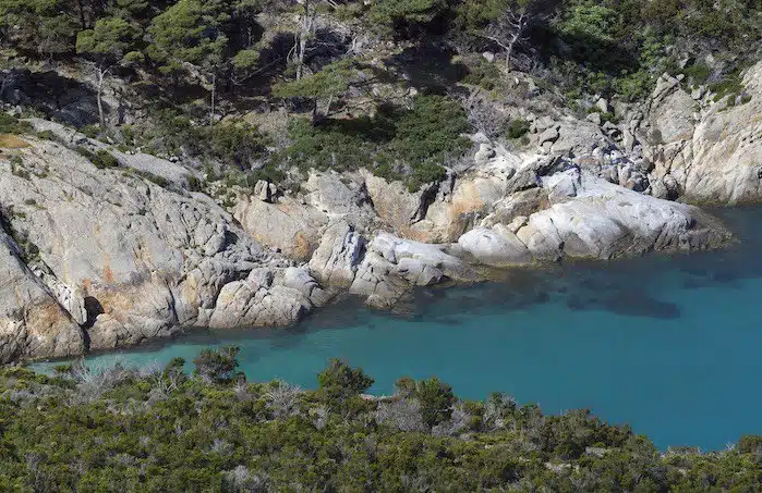 Isola-di-Montecristo