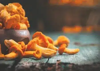 Gallinacci ricette facili con finferli