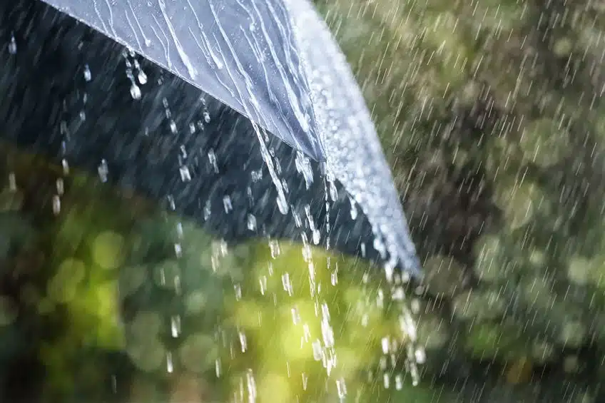 meteo primo novembre