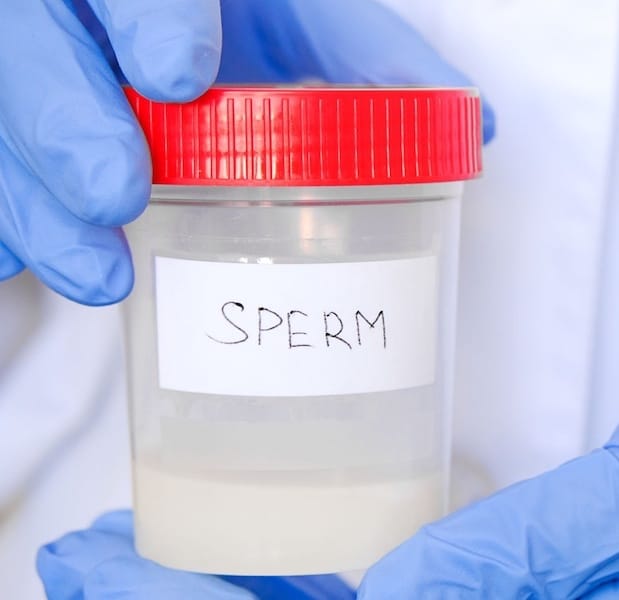 sperma