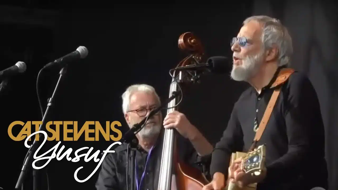cat stevens