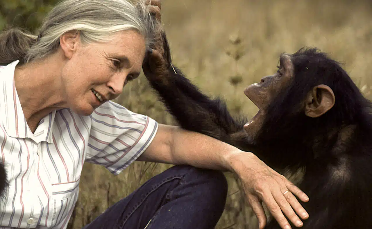 jane goodal scienziate donne