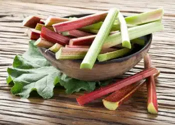 rabarbaro proprieta ricette coltivazione