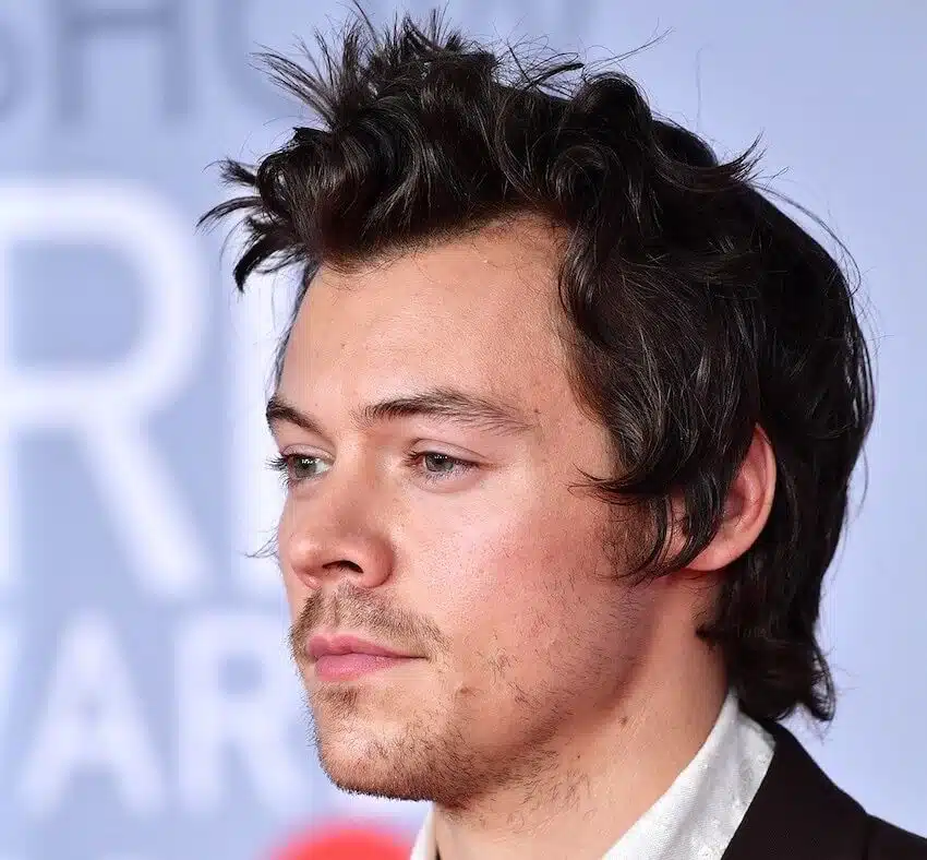 harrys styles capelli