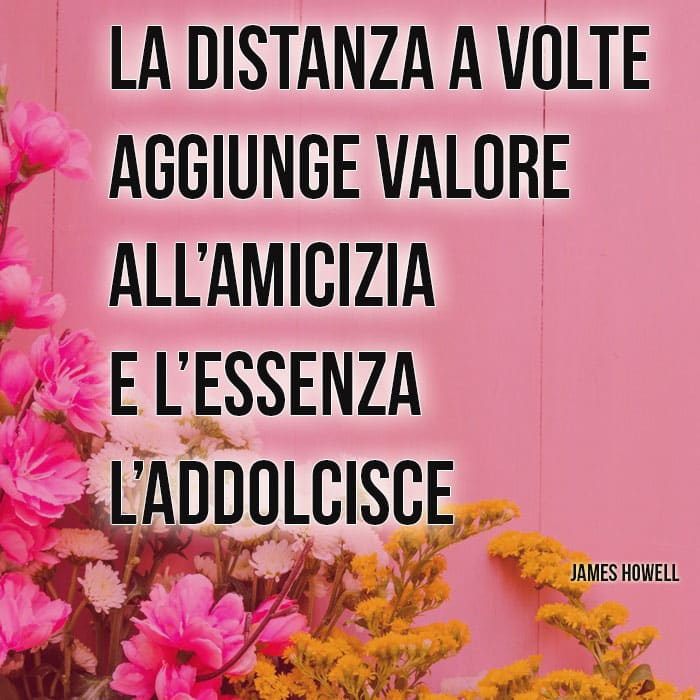 Frasi Sull Amicizia A Distanza Aforismi Frasi Da Dedicare E Condividere