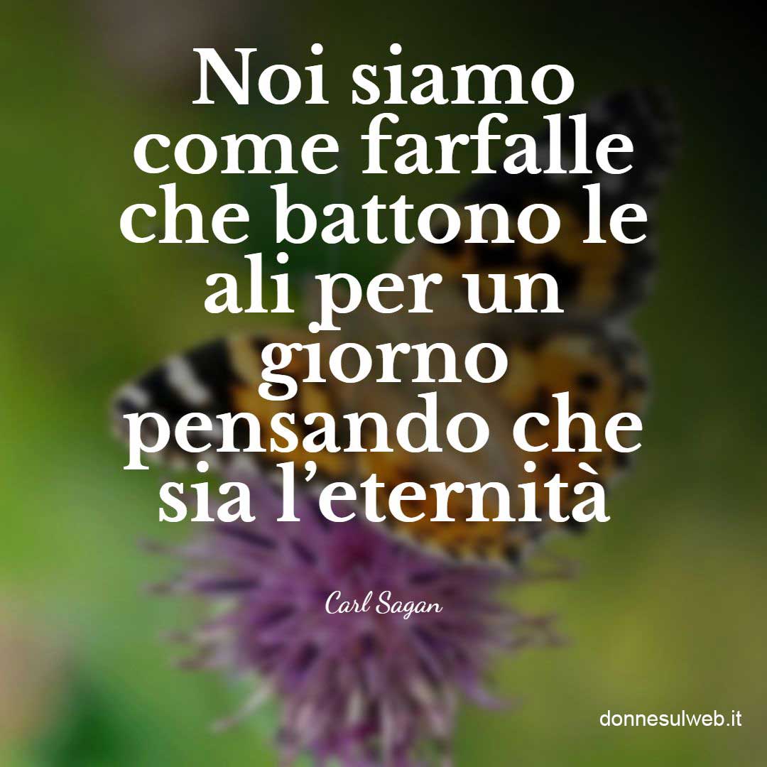 frasi farfalle