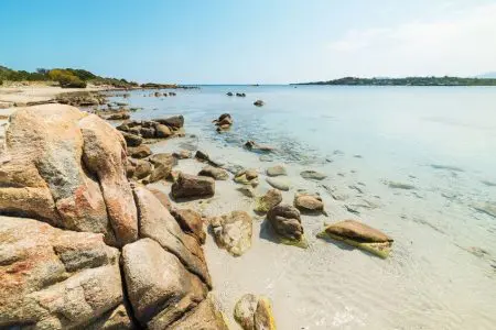 Bonus vacanze domanda