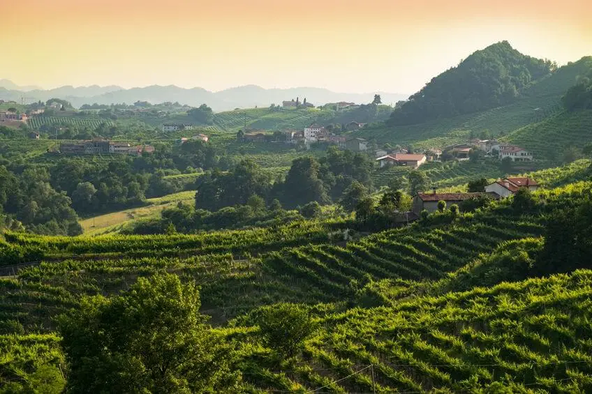 Valdobbiadene colline prosecco Veneto