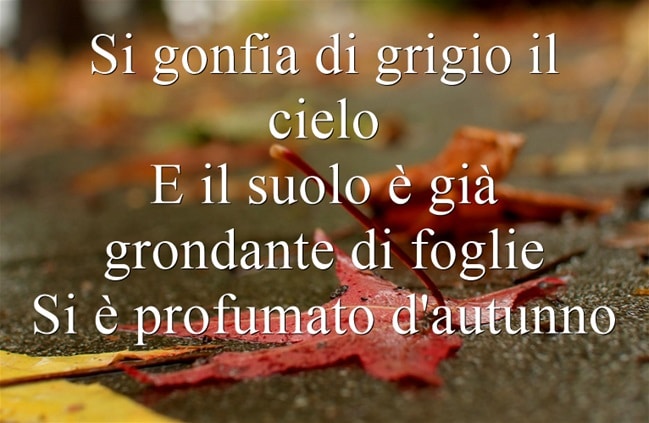 Le 30 frasi più belle sull&#39;autunno | Immagini | Frasi