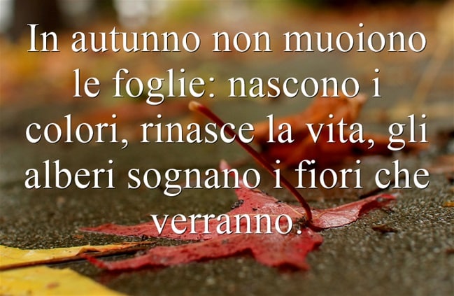 frasi autunno