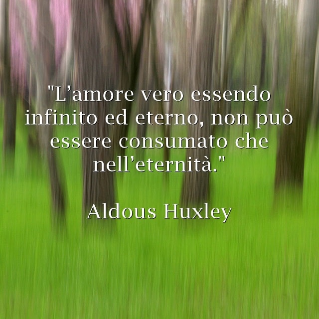 35 Frasi sull'amore vero le più belle e vere Donne Sul Web