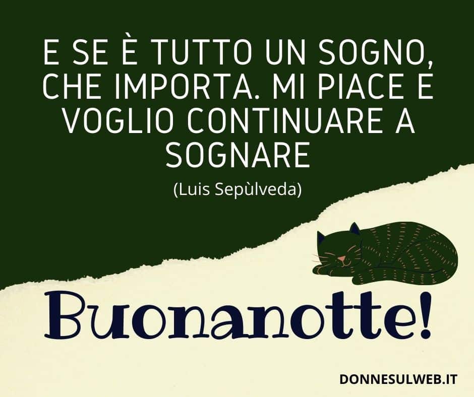 frasi per dare la buonanotte 12