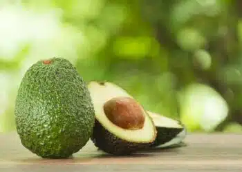 avocado proprietà ricette