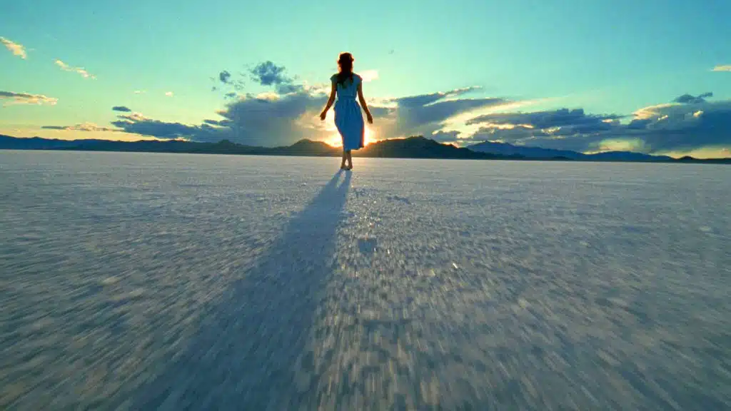 the tree of life film