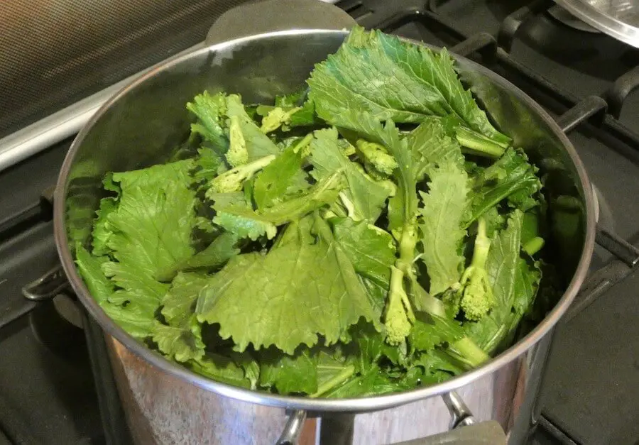 cottura pasta cime di rapa