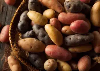 patate usi ricette proprietà