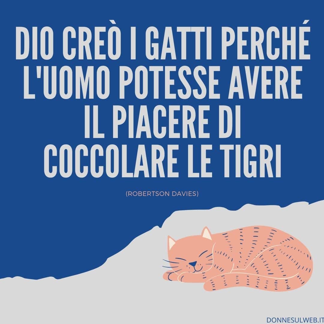 FRASI GATTI (6)