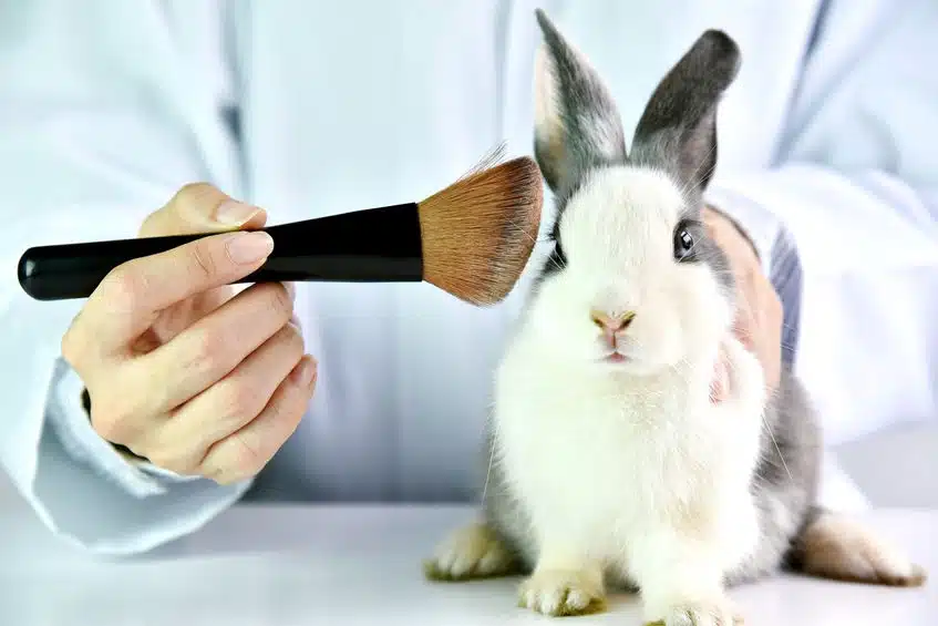 prodotti testati su animali 2021