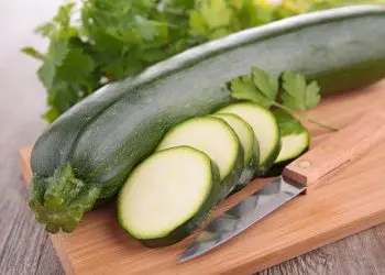zucchine varieta proprieta ricette
