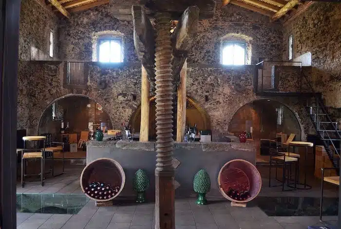 azienda-Planeta cantina