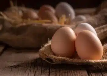 uova proprieta ricette tutto sulle uova