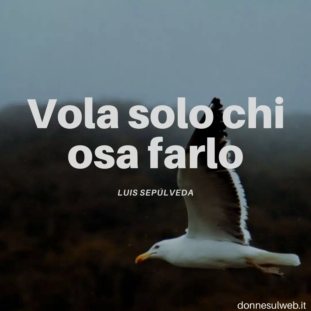 citazioni belle