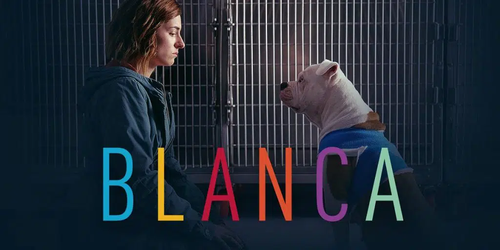 Blanca Raiplay