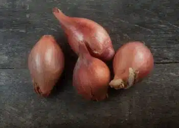 scalogno come usarlo propprietà