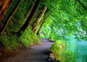5 canzoni sulla natura, le più belle