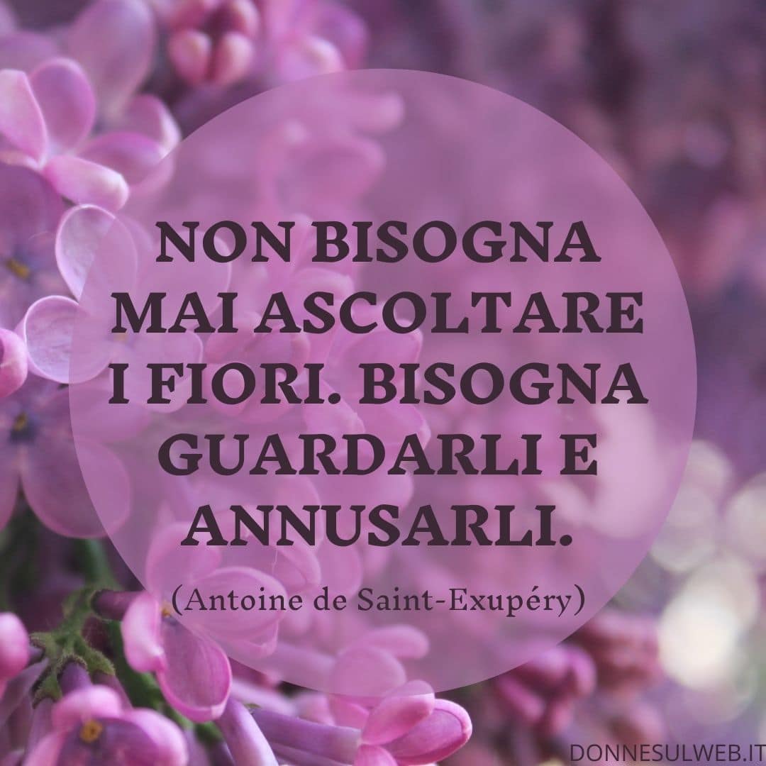 frasi sui fiori (6)